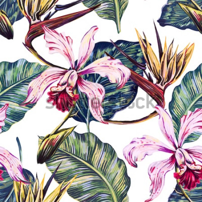 Poster Bloemmotief op een witte achtergrond