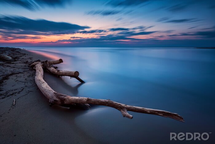 Poster Blue magic - long exposure seascape before sunrise