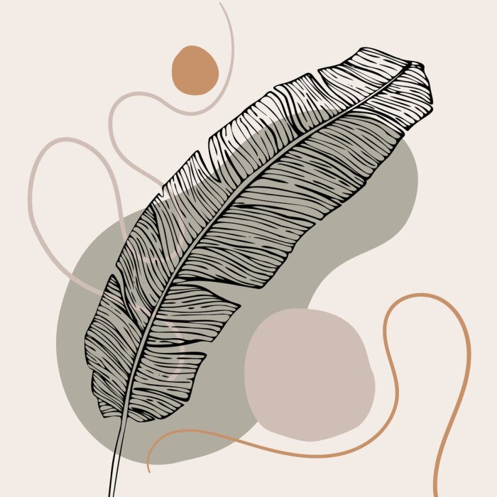 Poster Boho-illustratie met veer