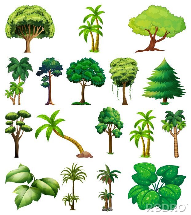 Poster Bomen en planten op een witte achtergrond