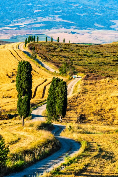 Poster Bomen in Toscane zijn het visitekaartje van de regio
