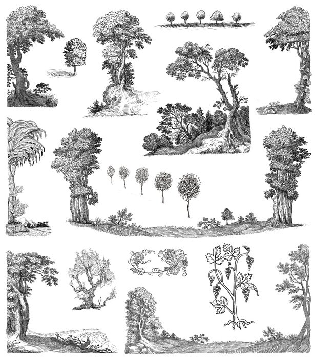 Poster Bomen set illustratie