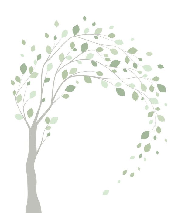 Poster Boom met door de wind geteisterde takken