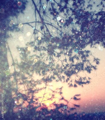 Poster Boomtakken die reflecties op het wateroppervlak creëren.