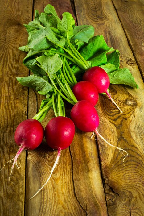 Poster Bos van verse radijs op een donkere houten achtergrond, selectieve aandacht, verticale