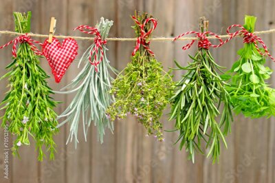 Poster Bosjes aromatische kruiden hangen aan een touw te drogen.