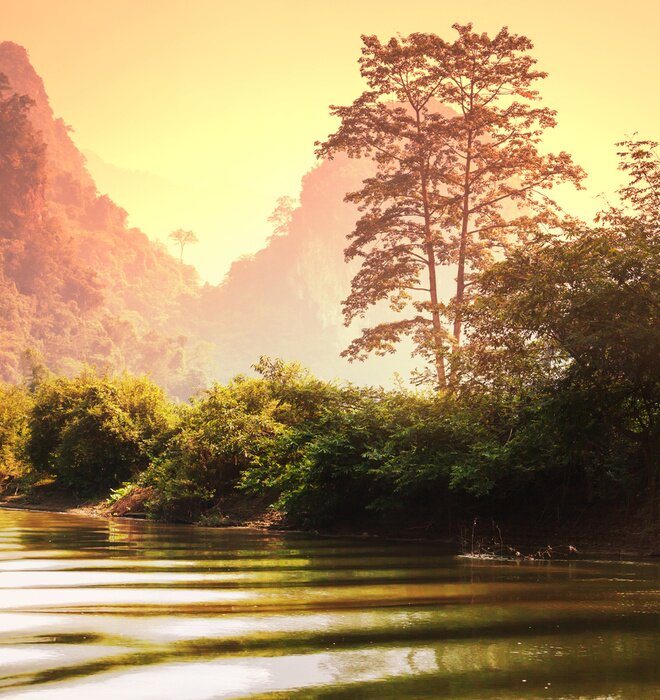 Poster Boslandschap in Vietnam