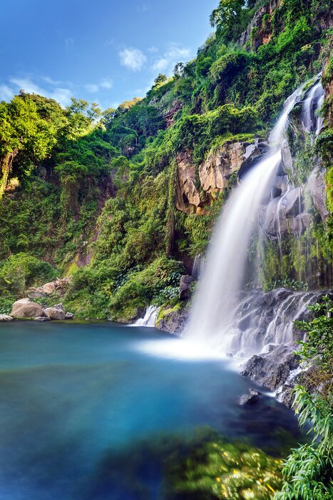 Poster Boslandschap met een waterval