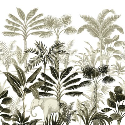 Poster Botanische illustratie van de jungle in vintage stijl