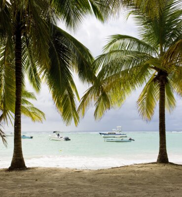 Poster Caraïbisch strandlandschap