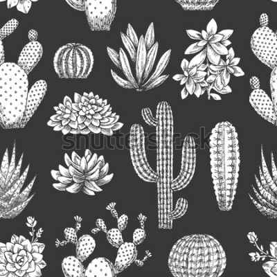 Poster Cartoon cactussen op een donkere achtergrond