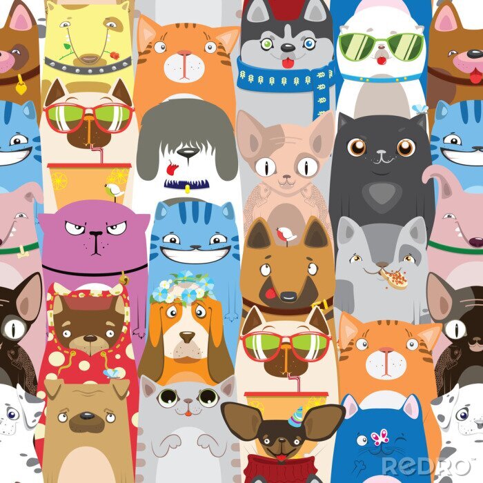 Poster Cartoon honden en katten op gekleurde achtergrond