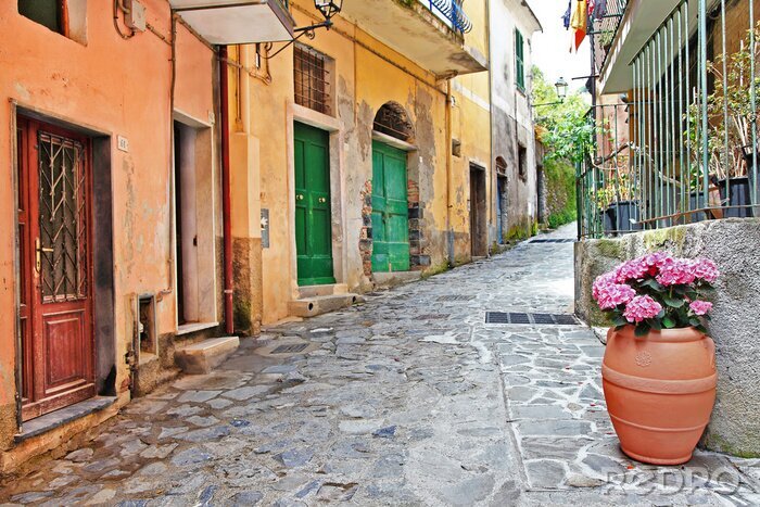 Poster charmante mediterrane straatjes, Cinque Terre, Italië