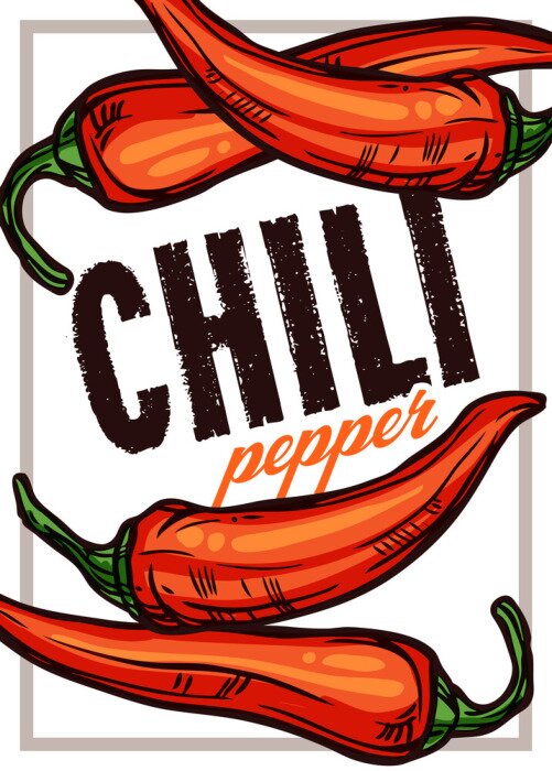 Poster Chili pepper color vector illustration. Hand drawn poster or card with vegetables. Sketch food design