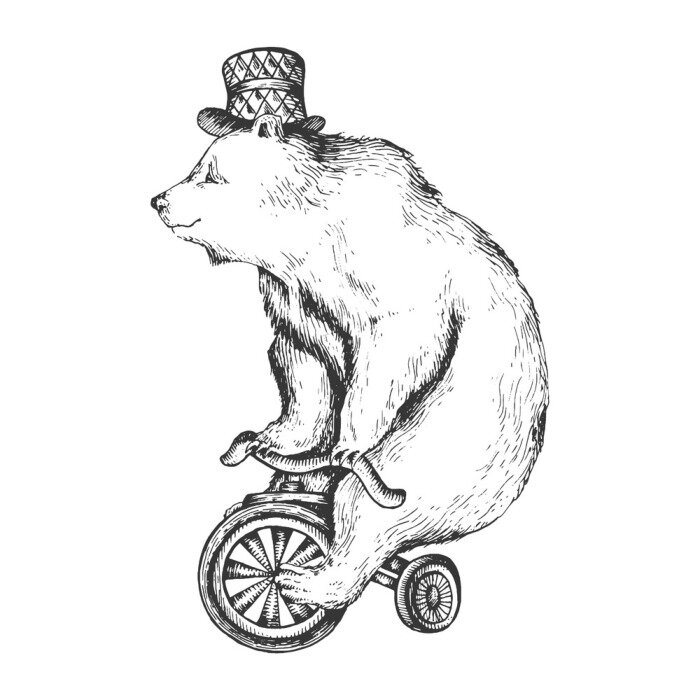 Poster Circus bear on bicycle sketch engraving vector illustration. Scratch board style imitation. Hand drawn image.