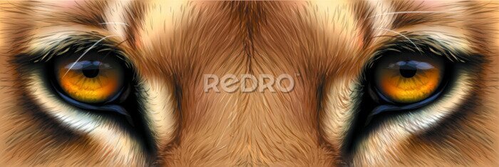 Poster Close-up van leeuwenogen