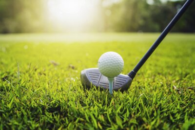 Poster closeup golf club and golf ball on green grass wiht sunset