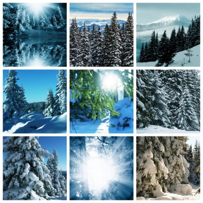 Poster Collage met een winterlandschap