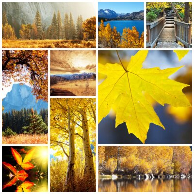 Poster Collage met herfstlandschap
