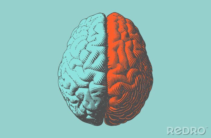 Poster Color drawing brain illustration in vintage style