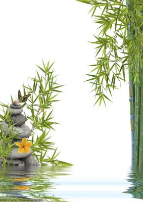 Compositie van bamboebloemen en water