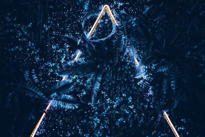 Poster Creative fluorescent color layout made of blue tropical leaves with neon light triangle .