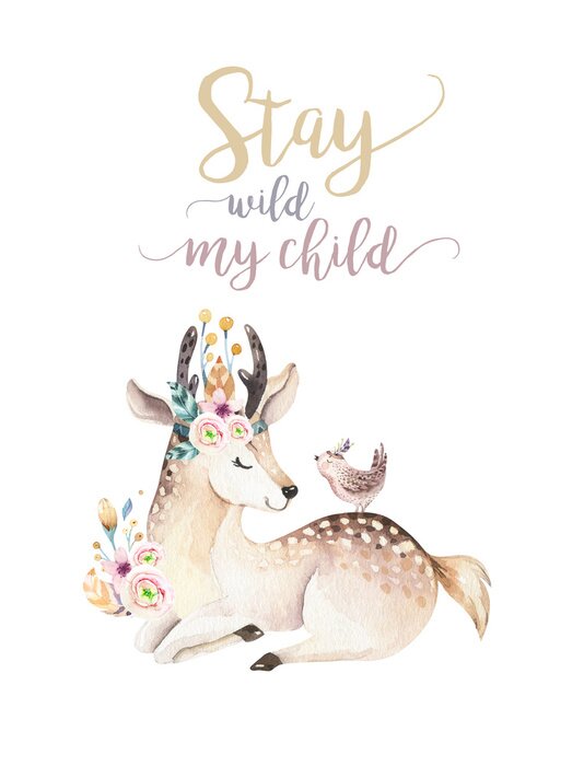 Poster Cute bohemian baby cartoon deer animal for kindergarten, woodland nursery isolated decoration forest illustration for children forest animals pattern. Watercolor hand drawn boho set