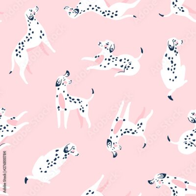 Dalmatiërs op een roze achtergrond