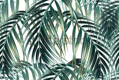 Poster De aard van tropische vegetatie