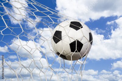 Poster De bal gaat in het doel.