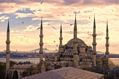 Poster De Blauwe Moskee, Istanbul, Turkije.
