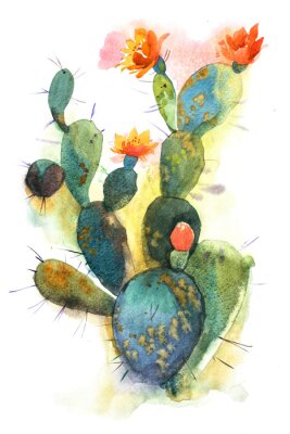 Poster De bloeibloem van de waterverfhand getrokken stekelige cactus