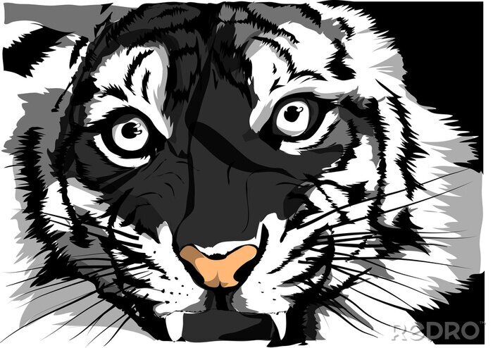 Poster De dreigende blik van een tijger
