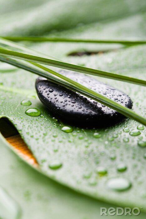 Poster De genezende kracht van de natuur