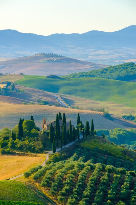 Poster De heuvels van Toscane in de zomer