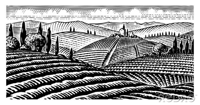 Poster De heuvels van Toscane in zwart-wit