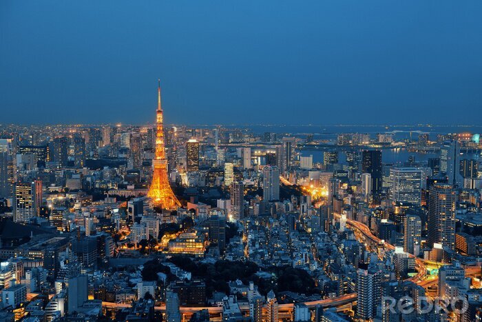 Poster De Horizon van Tokyo