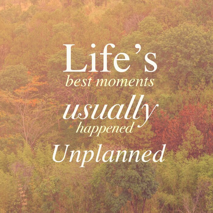 Poster De inscriptie over het leven op de achtergrond van bomen