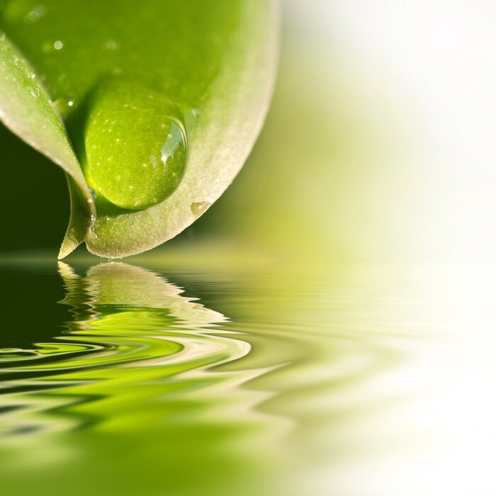 Poster De natuur weerspiegeld in het wateroppervlak