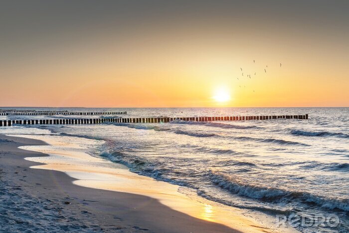 Poster De ondergaande zon achter de zee