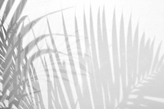 Poster De schaduw van de bladeren