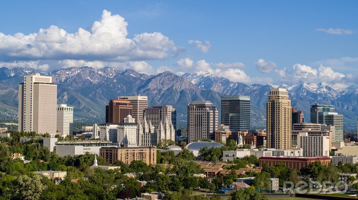 Poster De skyline van Salt Lake City overdag