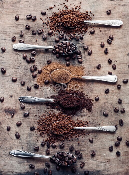 Poster De verschillende stadia van het verwerken van koffiebonen
