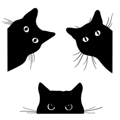 Poster De zwarte contouren van drie kattenkoppen