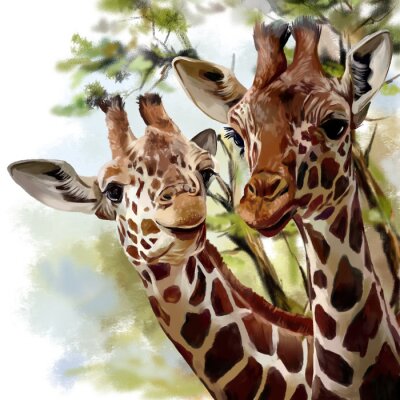 Delicate aquarel giraffen