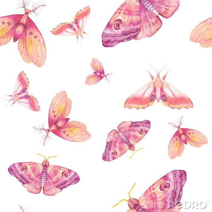 Poster Delicate aquarel vlinders