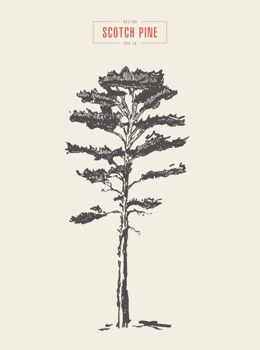 Poster Den op een retro illustratie met onderschrift