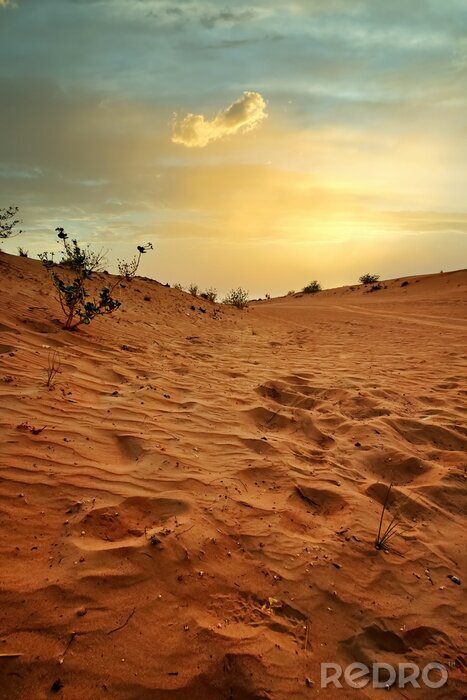 Poster Desert sunset and sand dunes in Dubai