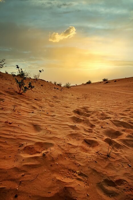 Poster Desert sunset and sand dunes in Dubai