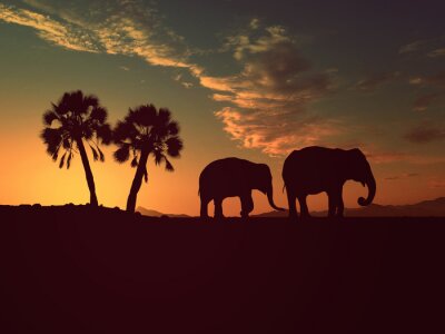 Poster Dieren van Afrikaanse olifanten bij zonsondergang